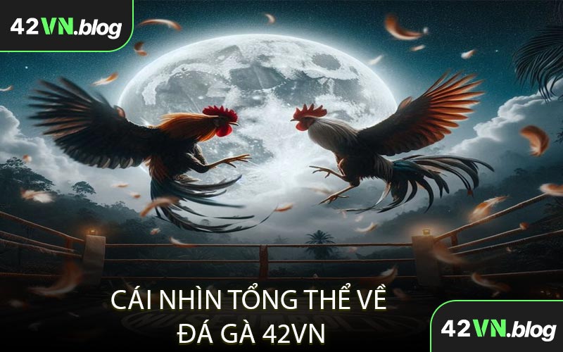 Cái Nhìn Tổng Thể Về Đá Gà 42VN
