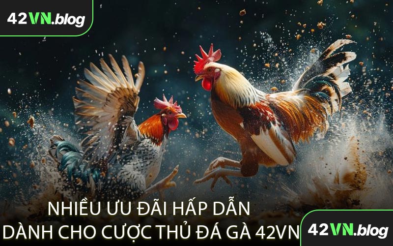 Nhiều Ưu Đãi Hấp Dẫn Dành Cho Cược Thủ Đá Gà 42VN