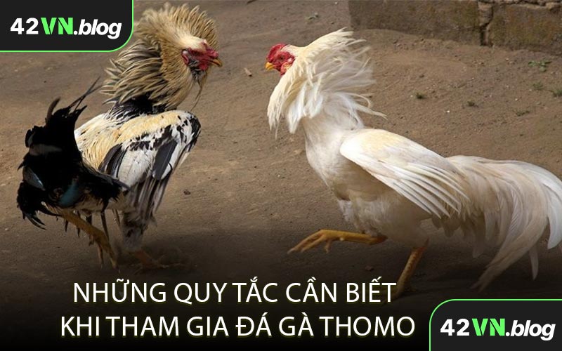 Những Quy Tắc Cần Biết Khi Tham Gia Đá Gà Thomo