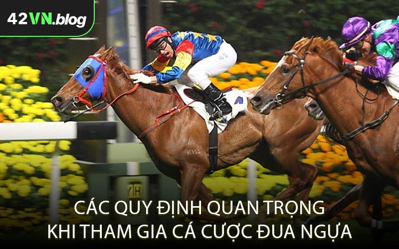 Các Quy Định Quan Trọng Khi Tham Gia Cá Cược Đua Ngựa